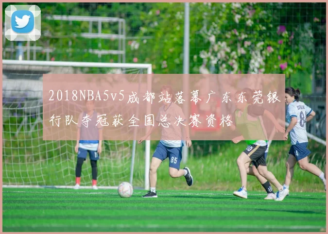 2018NBA5v5成都站落幕广东东莞银行队夺冠获全国总决赛资格